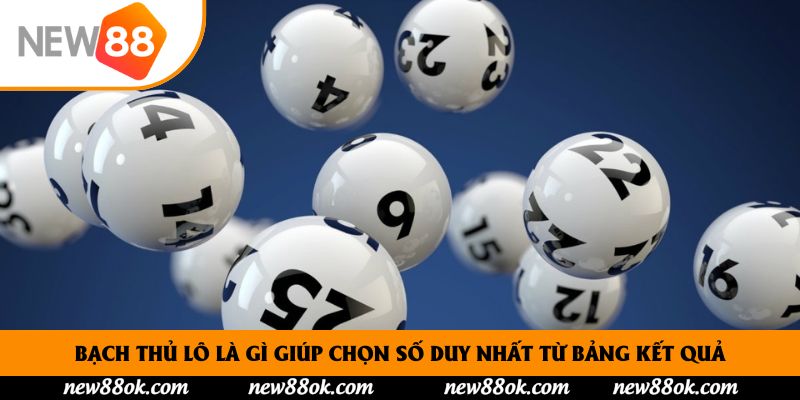 Bạch thủ lô là gì giúp chọn số duy nhất từ bảng kết quả