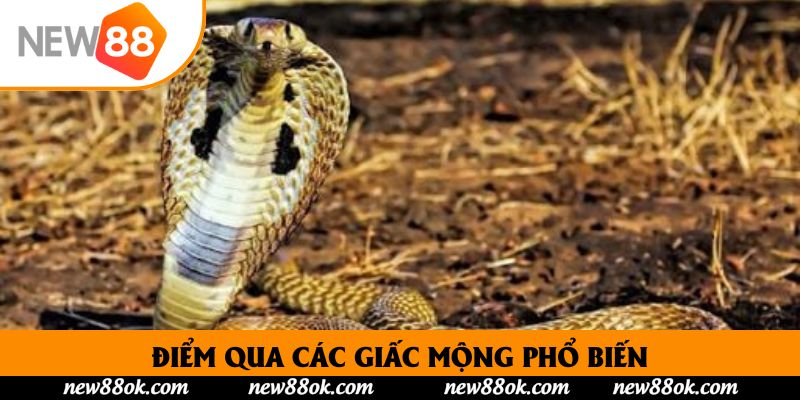 Điểm qua các giấc mộng phổ biến, được nhiều người bắt gặp nhất