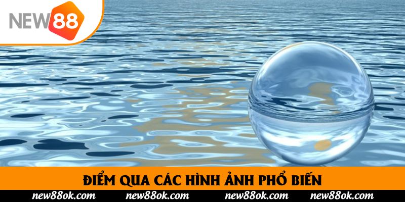 Điểm qua các hình ảnh phổ biến, được đại đa số mọi người chiêm bao