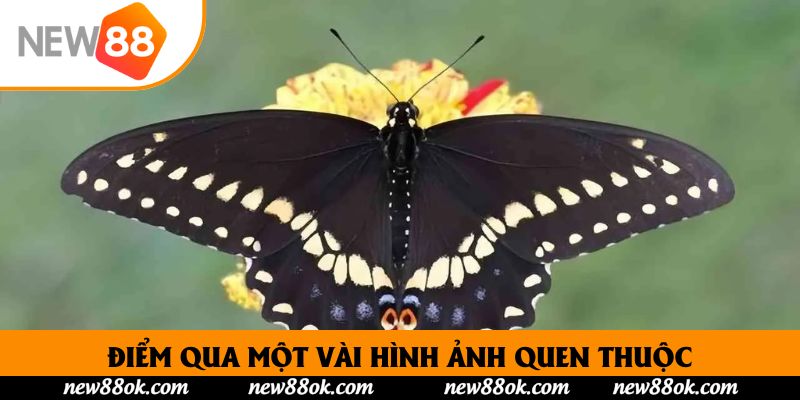 Điểm qua một vài hình ảnh quen thuộc, dễ bắt gặp khi ngủ